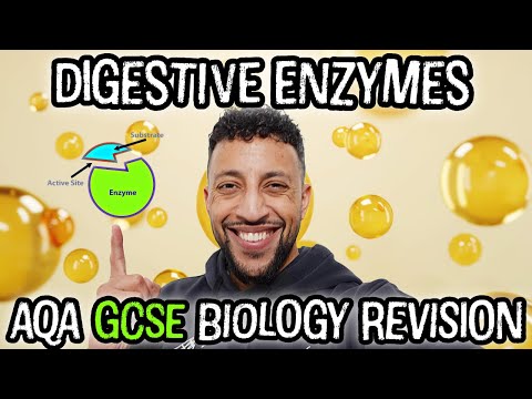 Science Raps: GCSE Biology - Enzymes