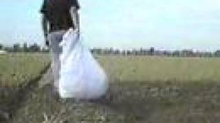 &quot;Yellow&quot; Ft. The Smashing Pumpkins - &quot;Spaced&quot;