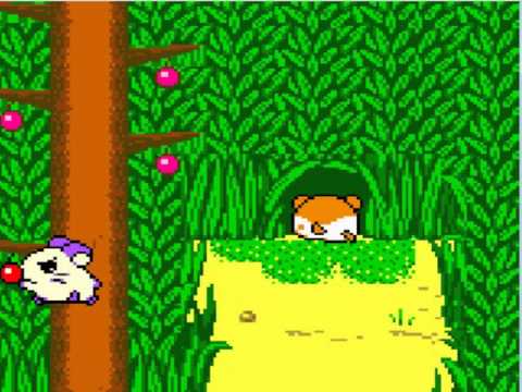Hamtaro : Ham-Hams Unite ! Game Boy