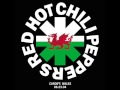 Red Hot Chili Peppers - Kill For Your Country (Mini ...