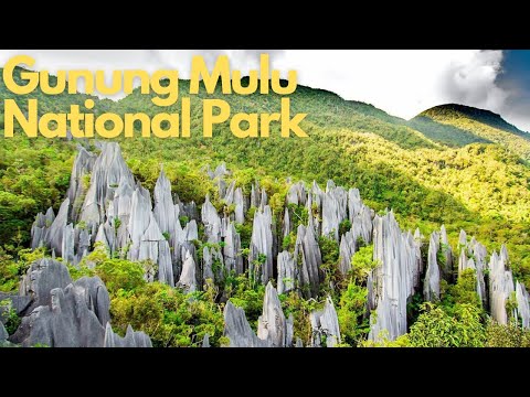 Exploring the Wonders of Gunung Mulu National Park, Malaysia
