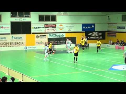 Maalikooste PSS - Ilves.wmv