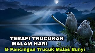 Download lagu TERAPI TRUCUKAN STRES - PANCINGAN TRUCUKAN OMBYOKAN, TRUCUK BAHAN MALAS BUNYI mp3