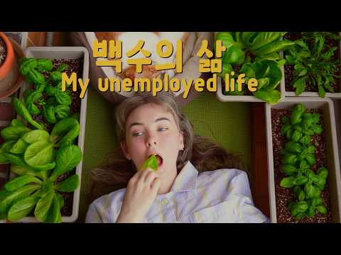 백수가 돼서 이렇게 행복할 줄 몰랐습니다