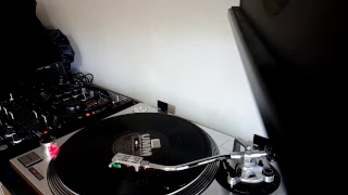 Reggie Rough Feat. Annette Taylor "Just can't take it"