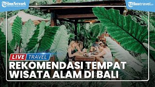 Akhir Pekan di Tempat Wisata Bali, Mampir Juga ke Kafe Cantik dengan Pemandangan Sawah