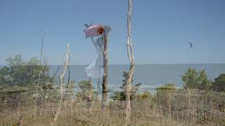 Lindsay Reamer – “Figs and Peaches”