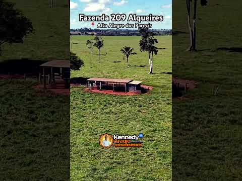 FAZENDA 209 ALQUEIRES | ALTO ALEGRE DOS PARECIS #imóvelrural  #fazenda  #agro