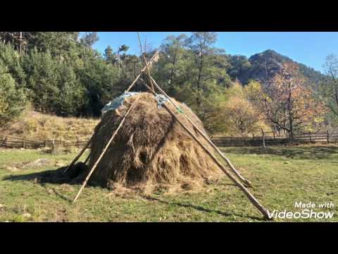 Hiking in Romania 1 Buzau Braesti Ruginoasa Sub Piatra lungă și Izvorul Feruginos