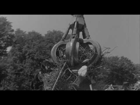 download lagu mp3 mp4 Maxim Wolzyn, download mp3 Maxim Wolzyn free downloadn, video klip Maxim Wolzyn