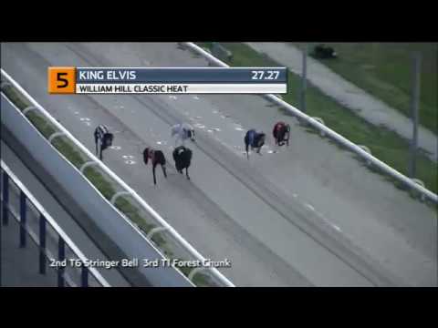 2018 WILLIAM HILL CLASSIC HEAT 4 - T5 KING ELVIS
