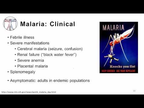 Protozoa: Intro and Blood-borne Infections