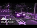 YALA EXTENDED - QMIIR, DJ Zarek, Irokz  (Slowed / TikTok Version)