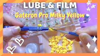 How to lube & film switches | ft. Gateron Pro Milky Yellow