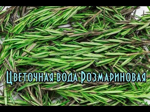 Цветочная вода Розмариновая // Косметика с гидролатами // Полезные свойства Розмарина