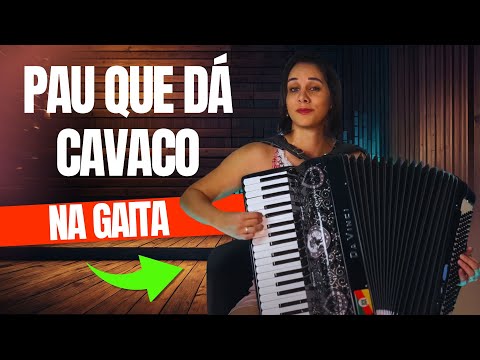 PAU QUE DÁ CAVACO - João Luiz Corrêa