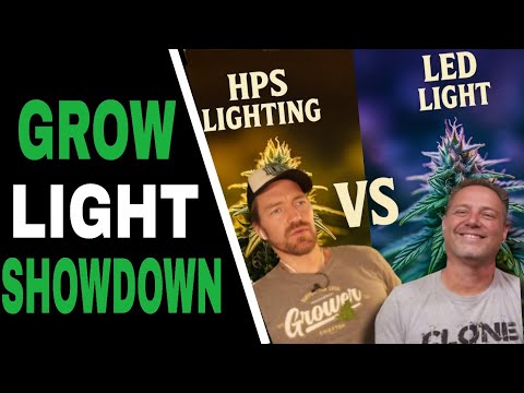 HPS vs LED: Which One Grows Better Cannabis?