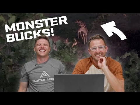 The BEST HUNT REACTIONS - That One Hunt Series