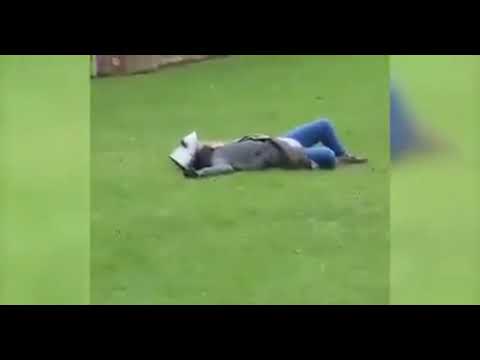 Tell me how the grass tastes little man