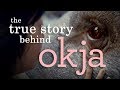 Okja | Understanding the (Im)Morality of Animal Consumption
