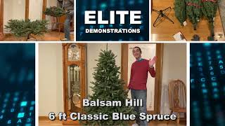 Review Balsam Hill 6ft Premium Unlit Artificial Christmas Tree 'Traditional' Classic Blue Spruce