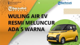 Tersedia 5 Pilihan Warna, Dijual Mulai Rp 200 Jutaan, Intip Spek Wuling Air ev yang Resmi Meluncur