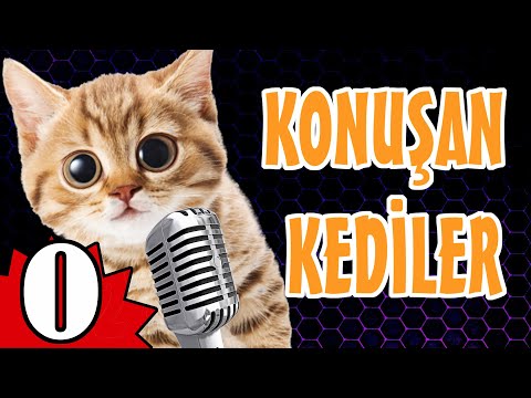 Konuşan Kediler 0 ( SIFIR ) - Komik Kediler