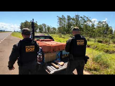 Quase meia tonelada de maconha é apreendida em carga de tijolos