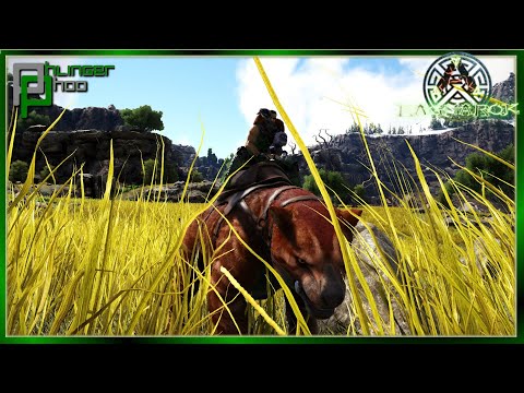 COFFEE FUELED REX TAMING SPREE! Solo Ragnarok E32