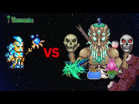 Max stardust Dragon and Stardust Guardian vs all bosses Terraria