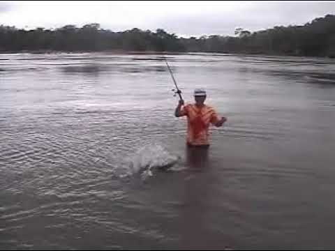 Fishing Bicuda - Amazon / Brazil (Xingu River)