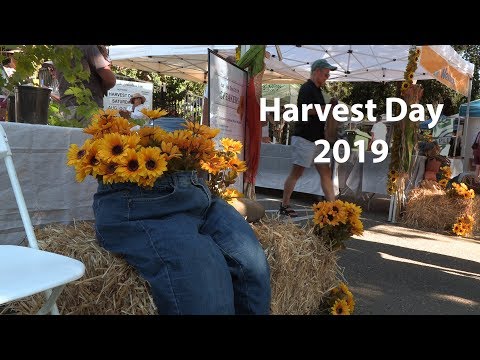 Harvest Day 2019