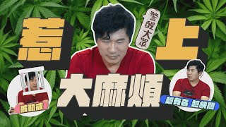 [討論] 胡瓜配神偷奶爸ok 柯震東不行