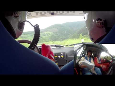 Rally Casciana Terme 2013 Crash: Gallinaro-Calvani Peugeot 205 FA7