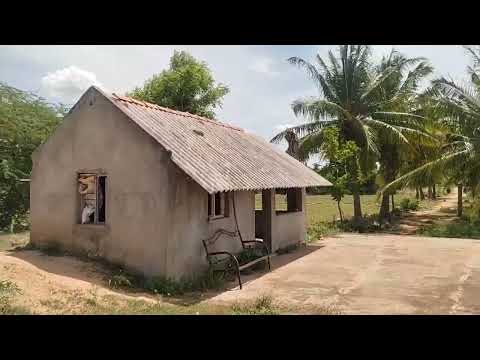 3 Acre Agricultural/Farm Land for Sale in Kulathur, Pudukkottai