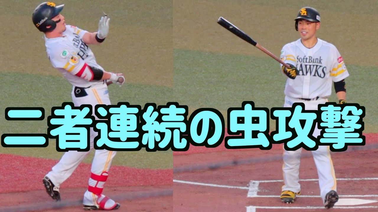 栗原陵矢と近藤健介、二者連続で虫に攻撃される