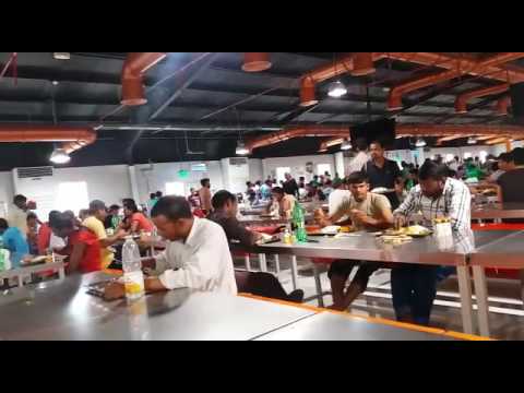 Free food for workers of L and T Company , Qatar