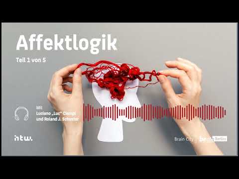 Gruppendynamik und Affektlogik Teil 1 von 5