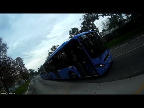 Elengedem a buszt - I let the bus go