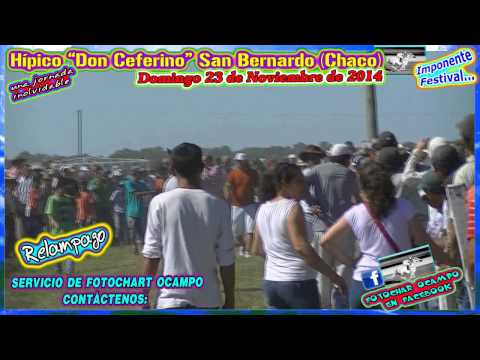COMPILADO DEL HÍPICO DON CEFERINO DE SAN BERNARDO CHACO DOMINGO 23 DE NOVIEMBRE DE 2014