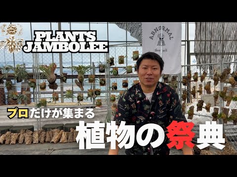 園芸 ヨセフのマント、クロトン