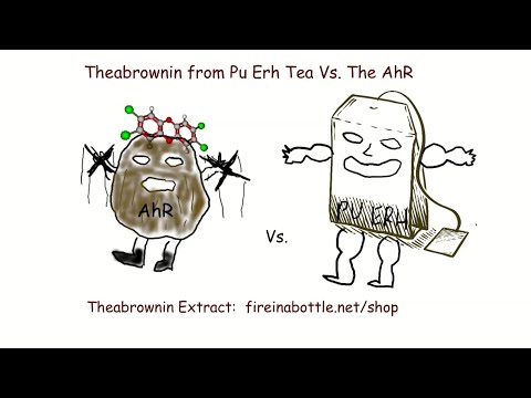 Bile Acid Flow and the AhR:  Obesity Explained, Episode 2.  Featuring Theabrownin from Pu Ehr Tea.