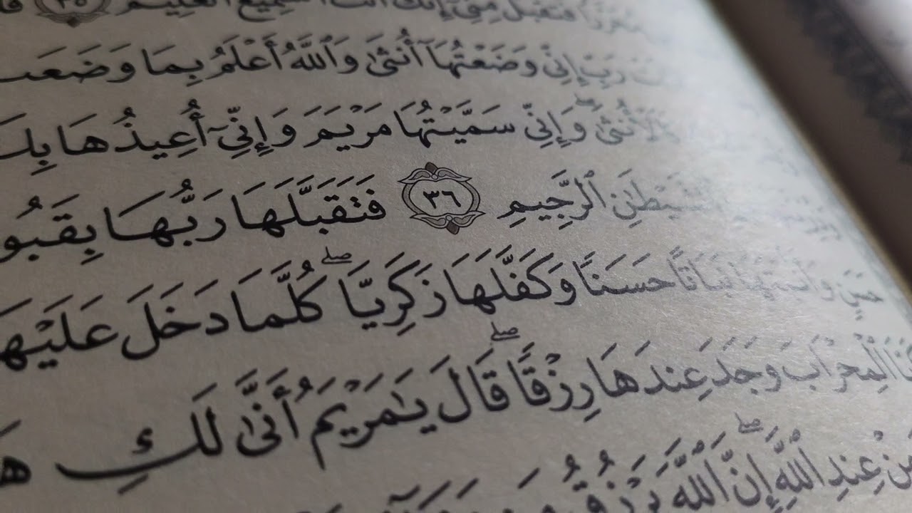 Tajweed Recitation Study Page