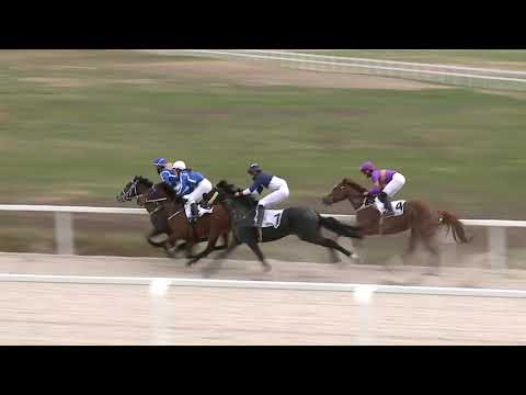 2021.04.18. 01. futam - HERCEG ODESCALCHI BÉLA EMLÉKVERSENY HENDIKEP (IV.o.) (szintetikus pálya)