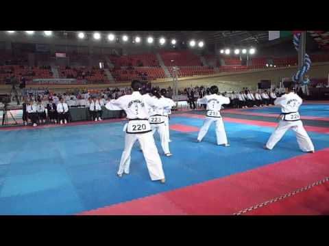 Czech Republic v Japan - Female Team Pattern