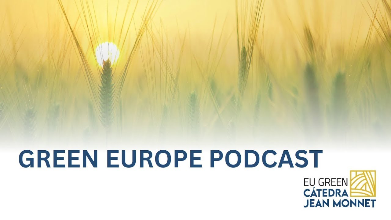 Green Europe: Empresas e direitos humanos