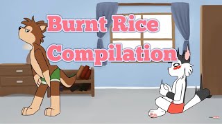 Video thumbnail of "Burnt Rice - Furry Meme Compilation"
