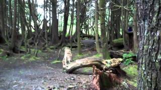 preview picture of video 'Kalaloch campground campsite D2 review'