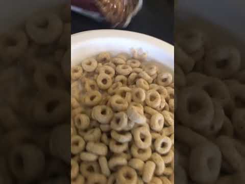 Hotel:BW aka Best Western Plus