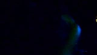 Soilent Green - Pretty Smiles &amp; Shattered Teeth